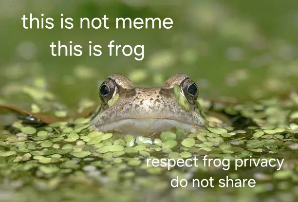 this is not meme this is frog
respect frog privacy do not share