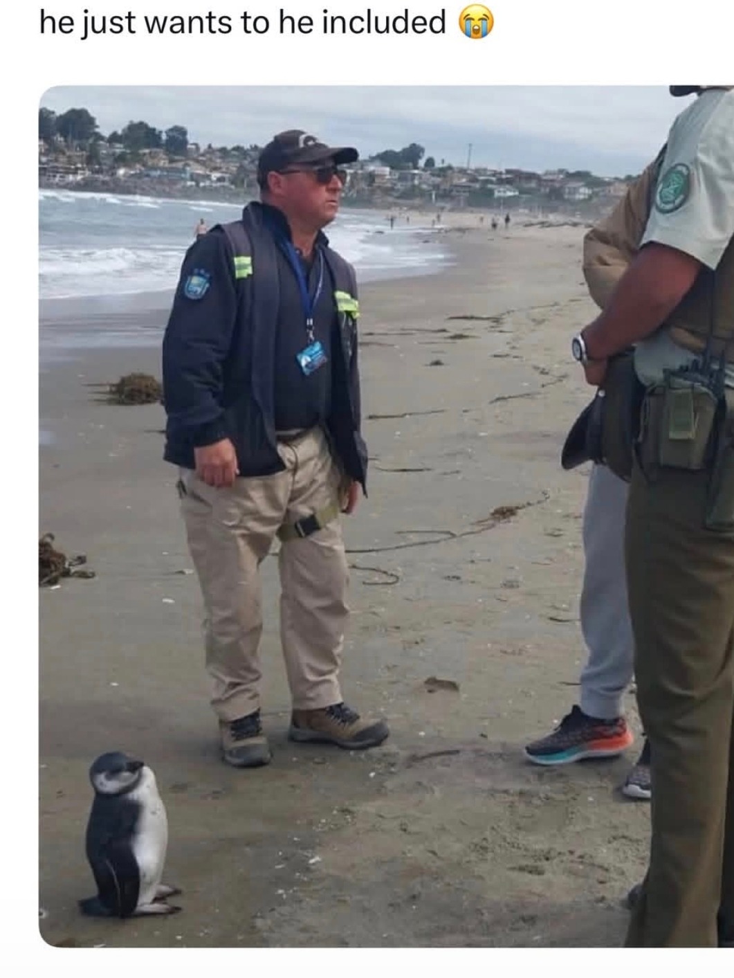 he just wants to he included 😭