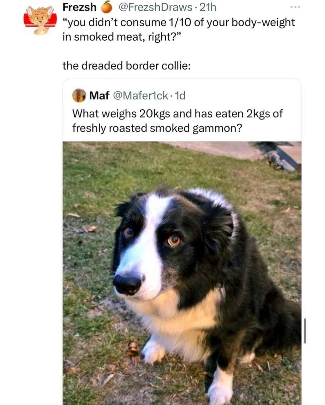 you didn't consume 1/10 of your body-weight in smoked meat, right? the dreaded border collie: What weighs 20kgs and has eaten 2kgs of freshly roasted smoked gammon?