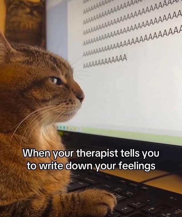 When your therapist tells you to write down your feelings