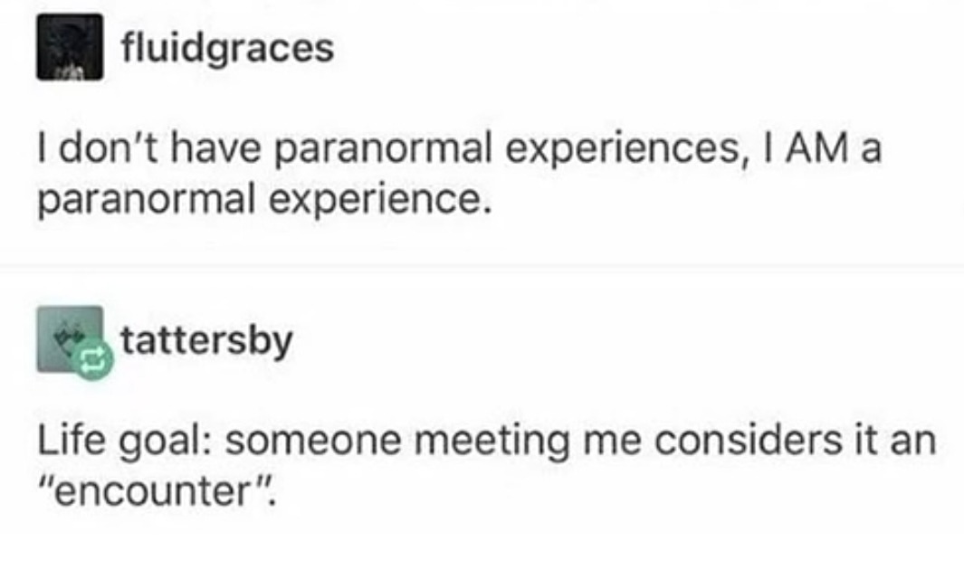 I don't have paranormal experiences, I AM a paranormal experience.
Life goal: someone meeting me considers it an 