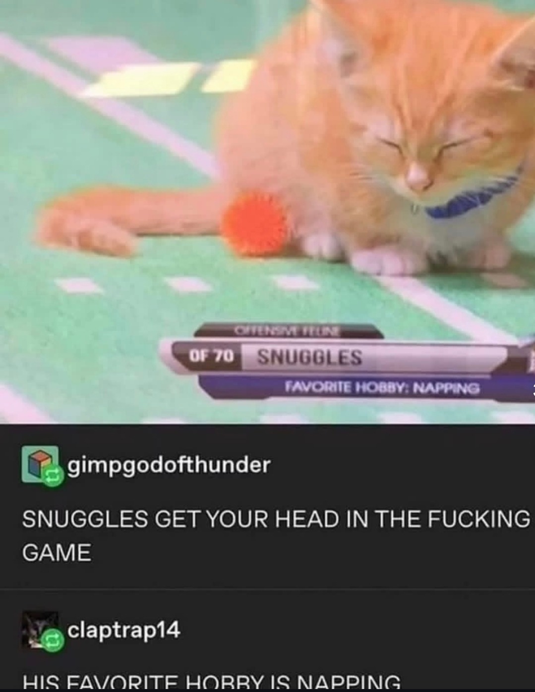 SNUGGLES GET YOUR HEAD IN THE FUCKING GAME\nHIS FAVORITE HOBBY IS NAPPING