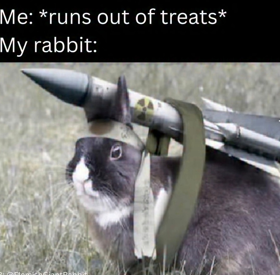 Me: *runs out of treats* My rabbit: