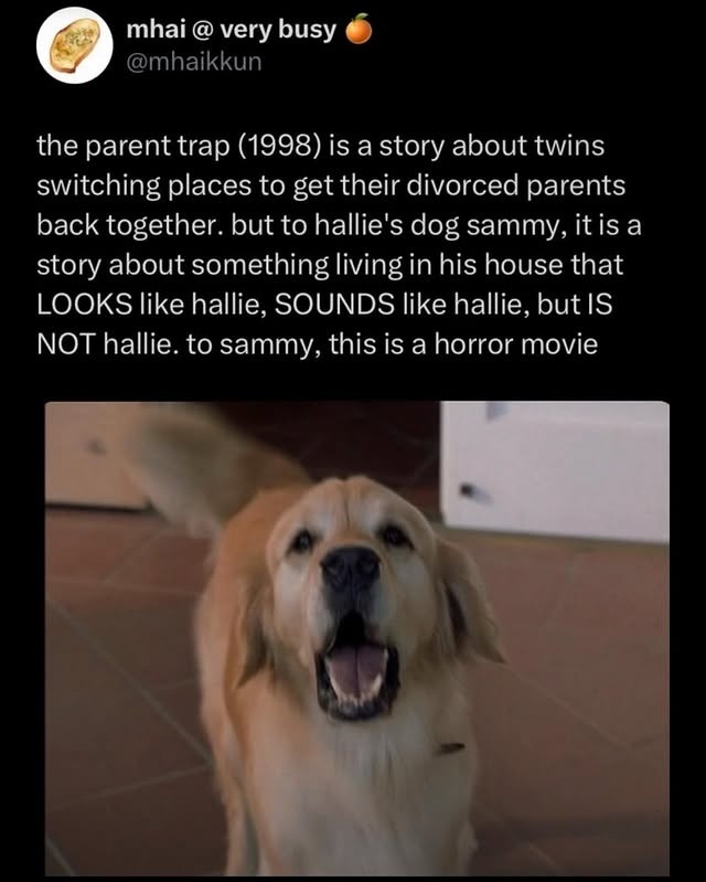 the parent trap (1998) is a story about twins switching places to get their divorced parents back together. but to hallie's dog sammy, it is a story about something living in his house that LOOKS like hallie, SOUNDS like hallie, but IS NOT hallie. to sammy, this is a horror movie