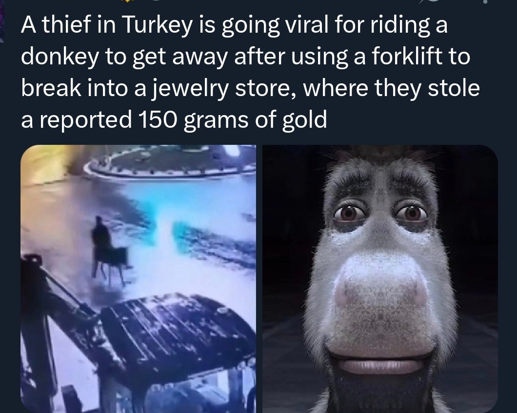 A thief in Turkey is going viral for riding a donkey to get away after using a forklift to break into a jewelry store, where they stole a reported 150 grams of gold