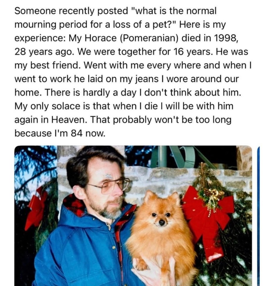 Someone recently posted 