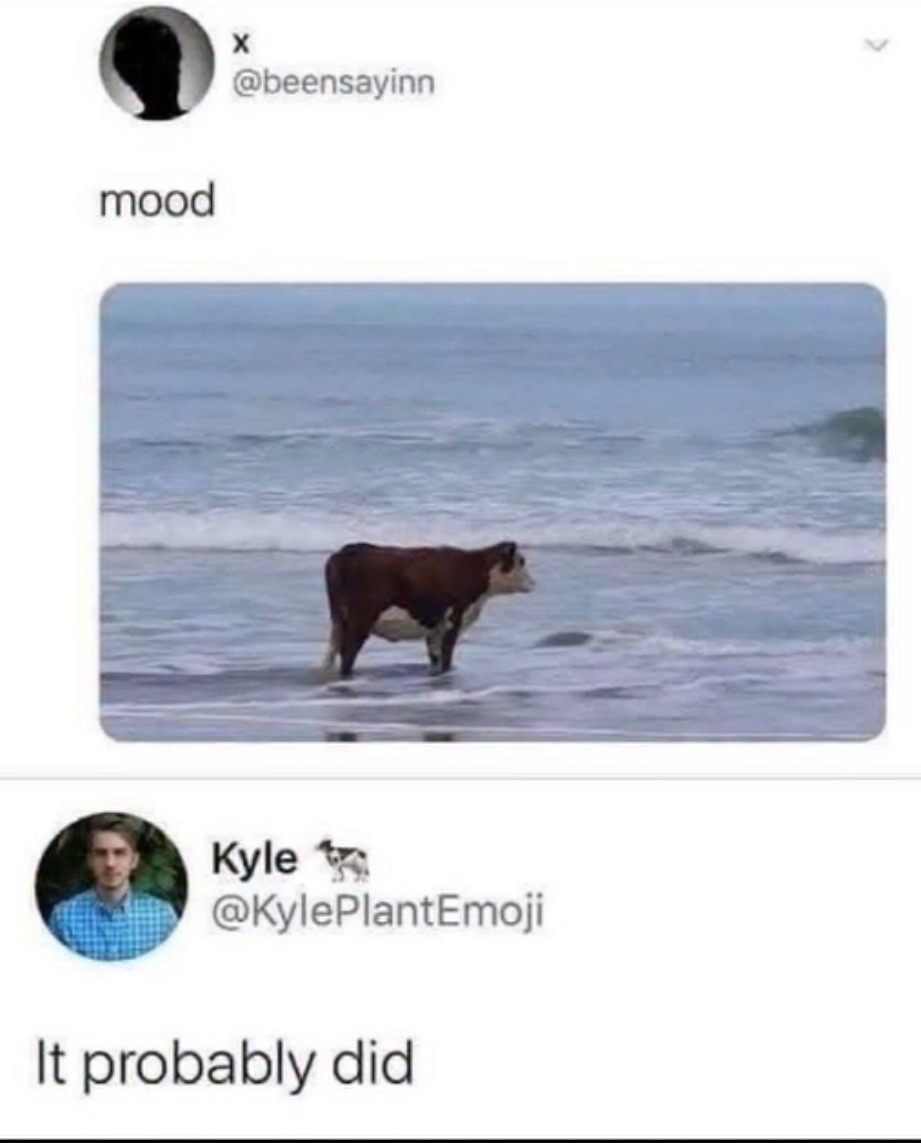 mood
It probably did