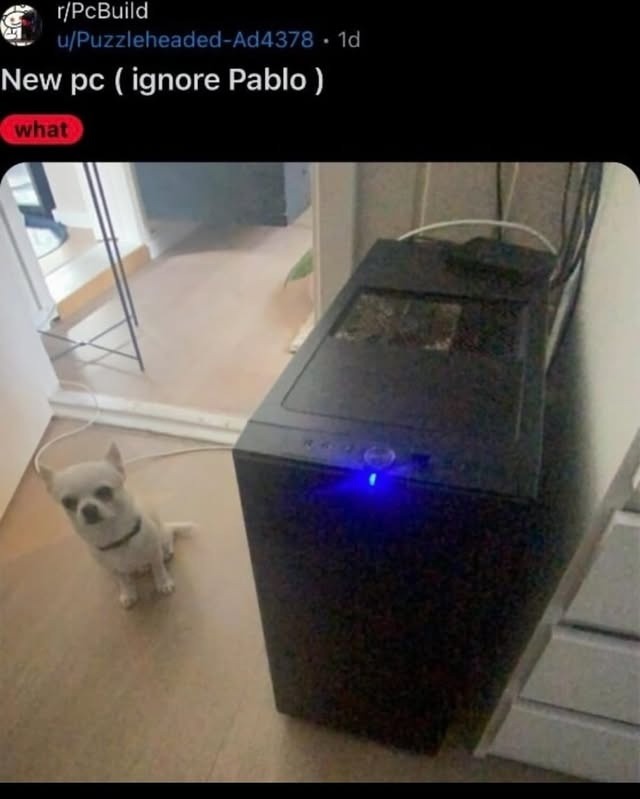New pc (ignore Pablo) what