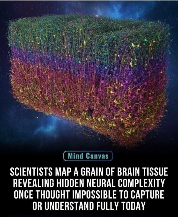 Mind Canvas\nSCIENTISTS MAP A GRAIN OF BRAIN TISSUE REVEALING HIDDEN NEURAL COMPLEXITY ONCE THOUGHT IMPOSSIBLE TO CAPTURE OR UNDERSTAND FULLY TODAY