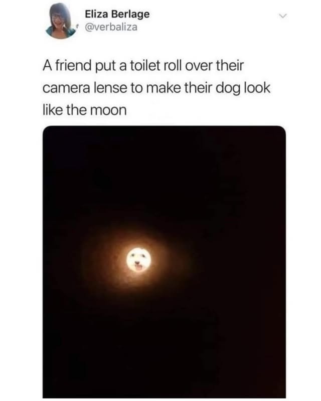 Eliza Berlage @verbaliza

A friend put a toilet roll over their camera lens to make their dog look like the moon