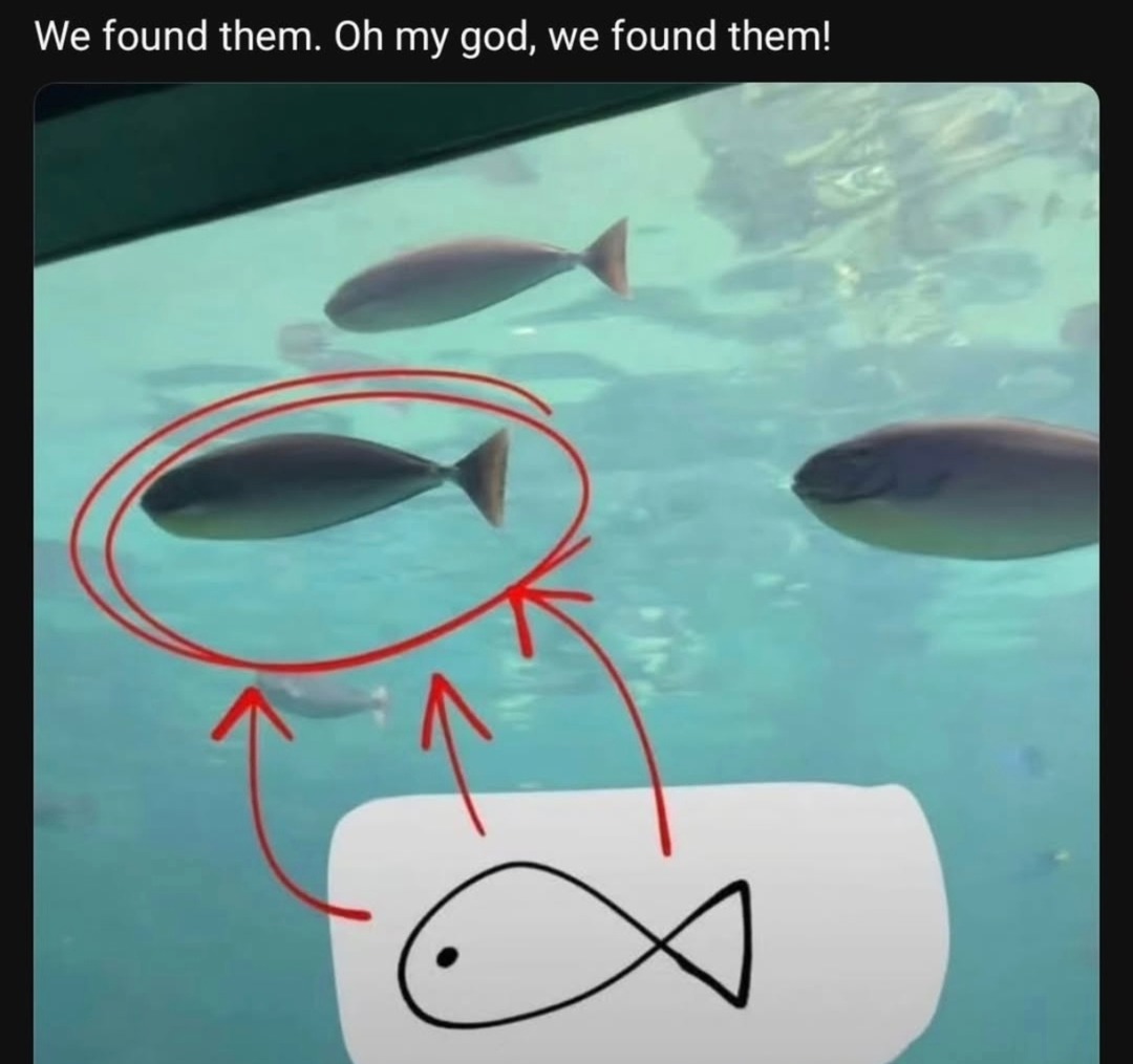 We found them. Oh my god, we found them!