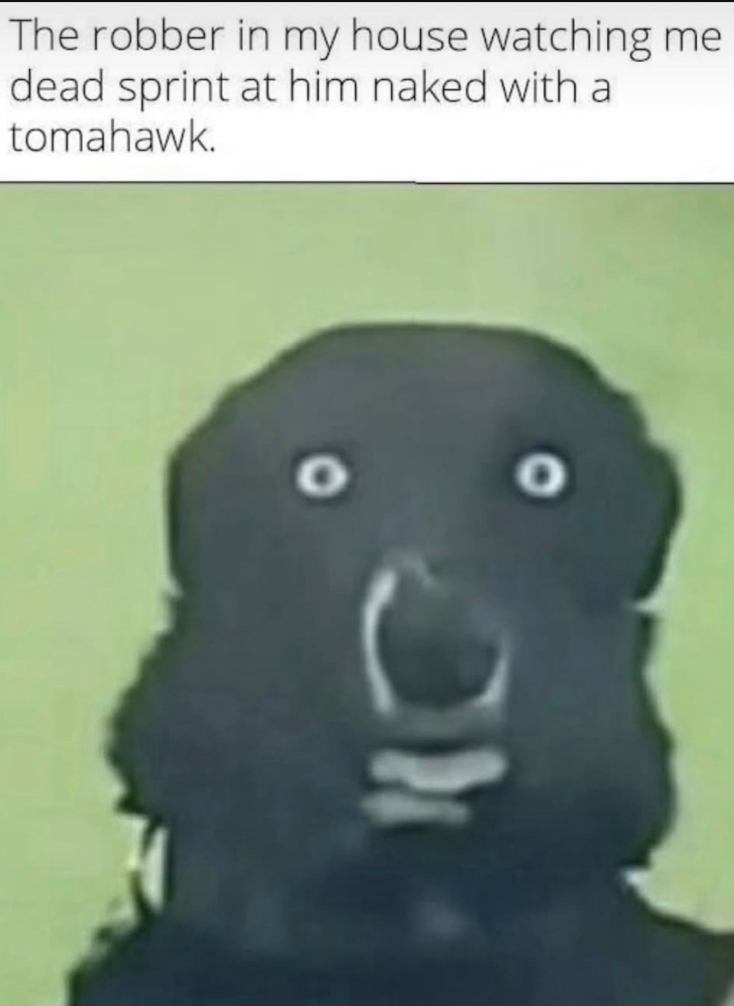 The robber in my house watching me dead sprint at him naked with a tomahawk.