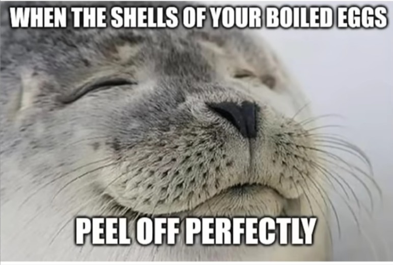 WHEN THE SHELLS OF YOUR BOILED EGGS PEEL OFF PERFECTLY