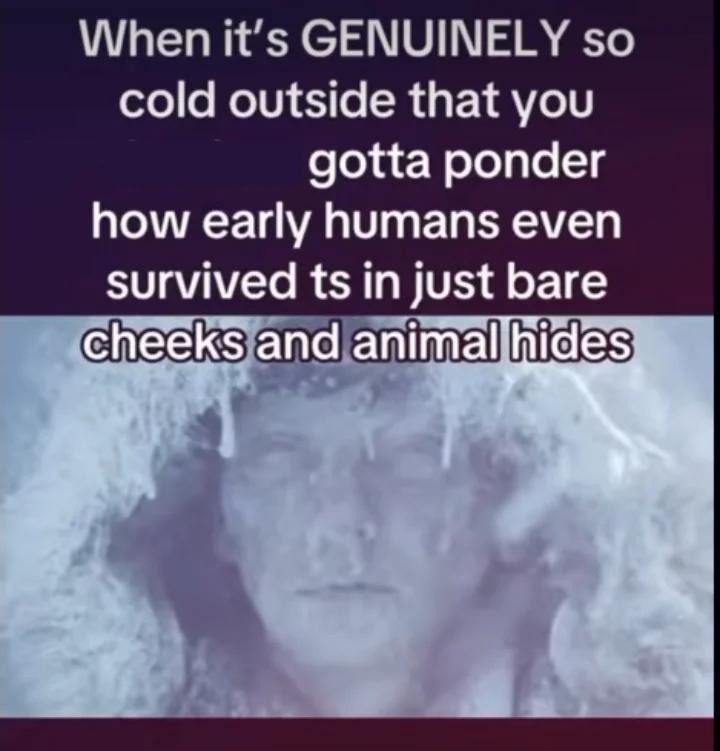 When it's GENUINELY so cold outside that you gotta ponder how early humans even survived ts in just bare cheeks and animal hides