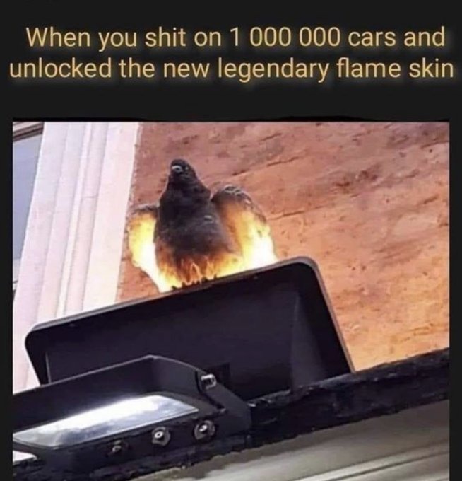 When you shit on 1 000 000 cars and unlocked the new legendary flame skin