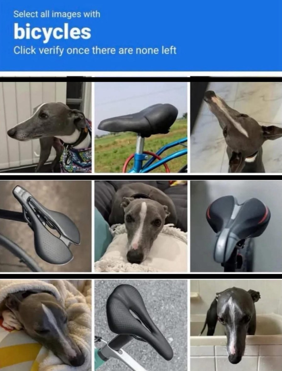 Selecciona todas las imágenes con bicicletas. Haz clic en verificar una vez que no quede ninguna.