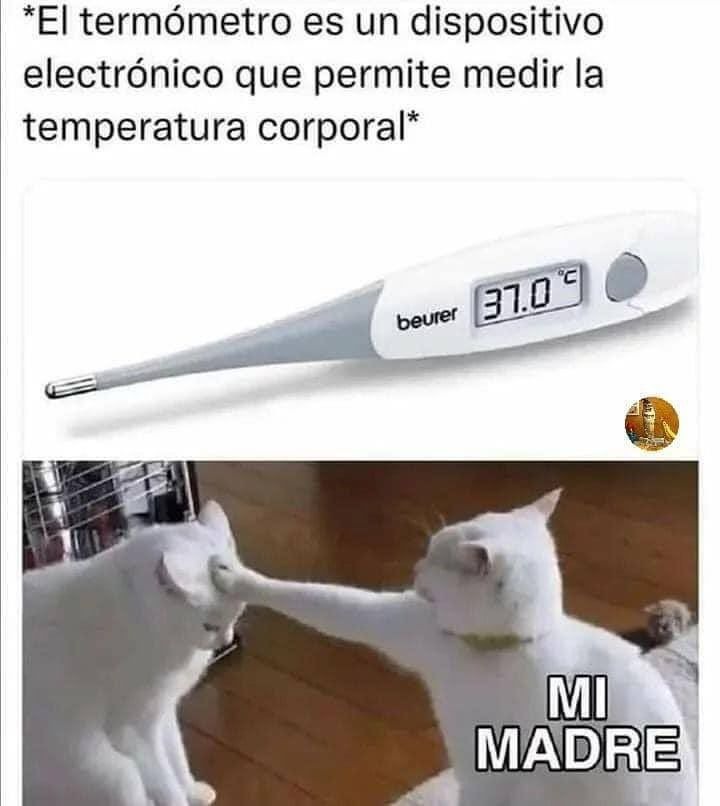 *El termómetro es un dispositivo electrónico que permite medir la temperatura corporal*
37.0°C
MI MADRE