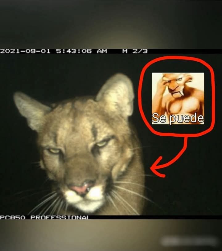 2021-09-01 5:43:06 AM Se puede