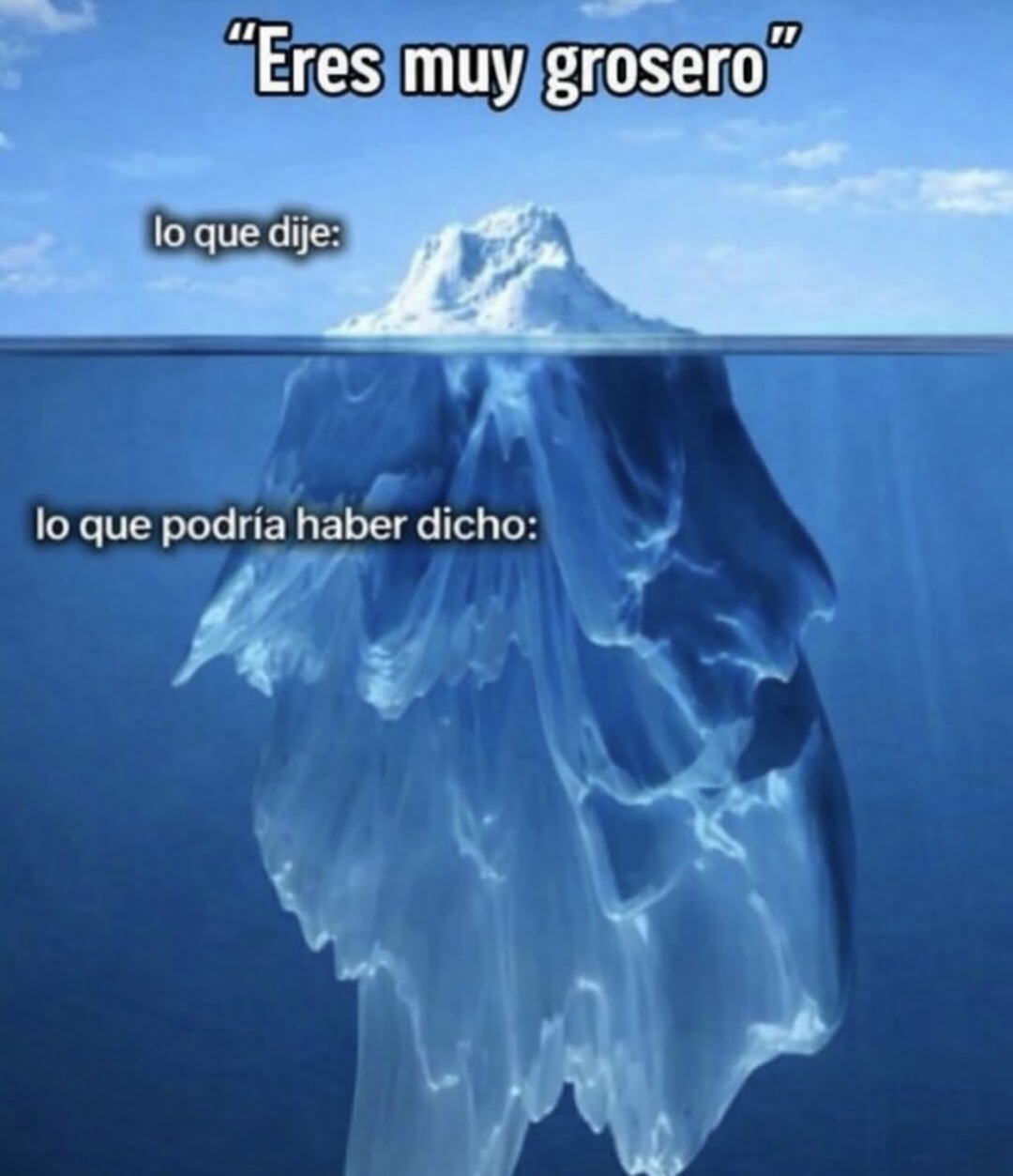 Eres muy grosero
lo que dije:
lo que podría haber dicho: