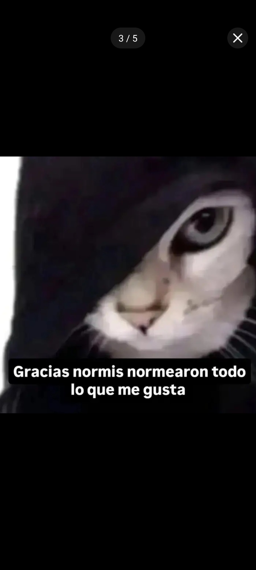 Gracias normis normeroen todo lo que me gusta