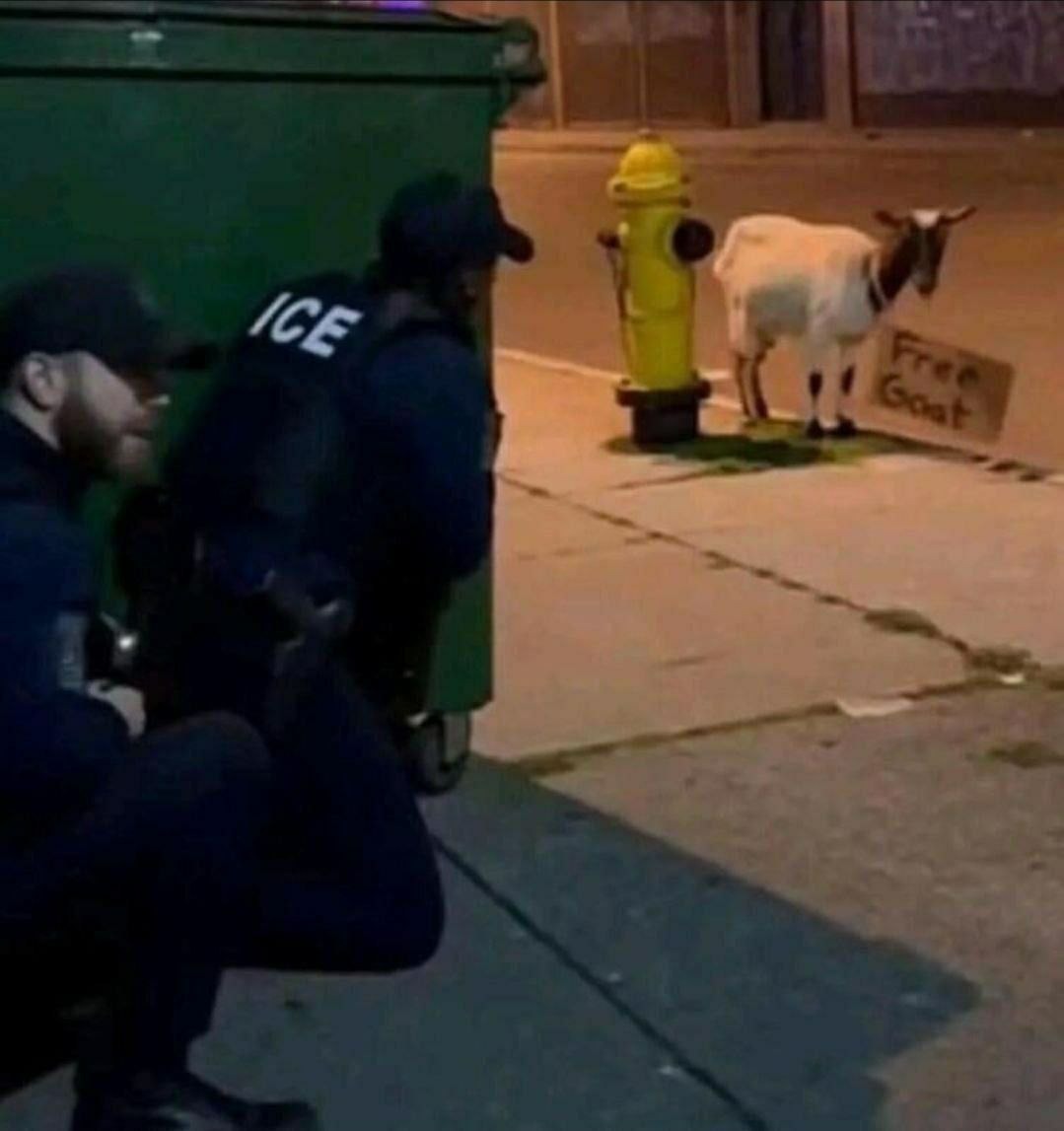 ICE on the left; a goat standing near a fire hydrant with a sign that reads: 