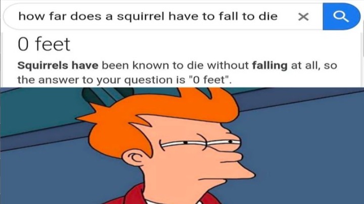 how far does a squirrel have to fall to die
0 feet
Squirrels have been known to die without falling at all, so the answer to your question is 