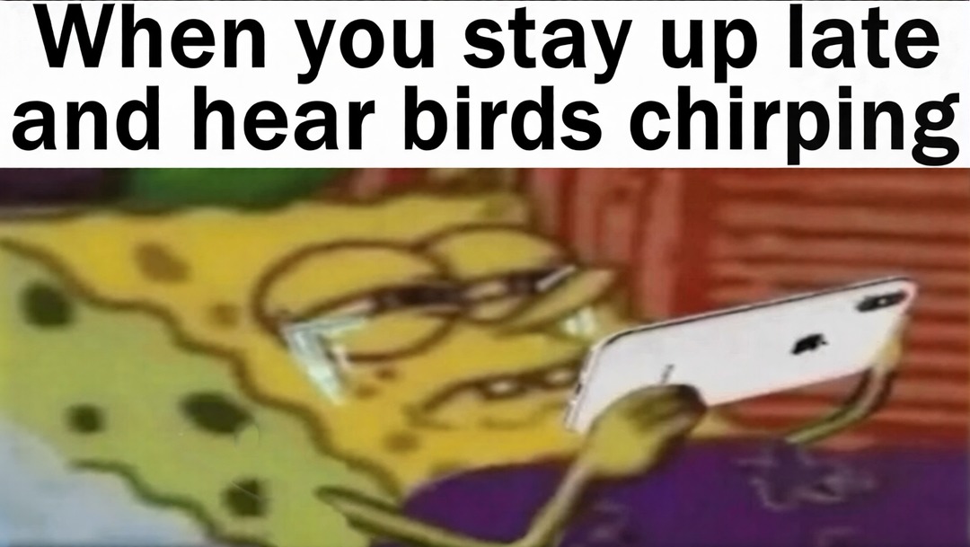 When you stay up late and hear birds chirping