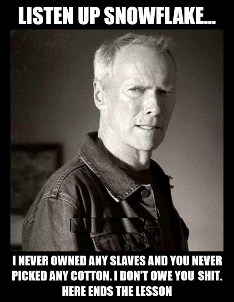 LISTEN UP SNOWFAKE... I NEVER OWNED ANY SLAVES AND YOU NEVER PICKED ANY COTTON. I DON'T OWE YOU SHIT. HERE ENDS THE LESSON