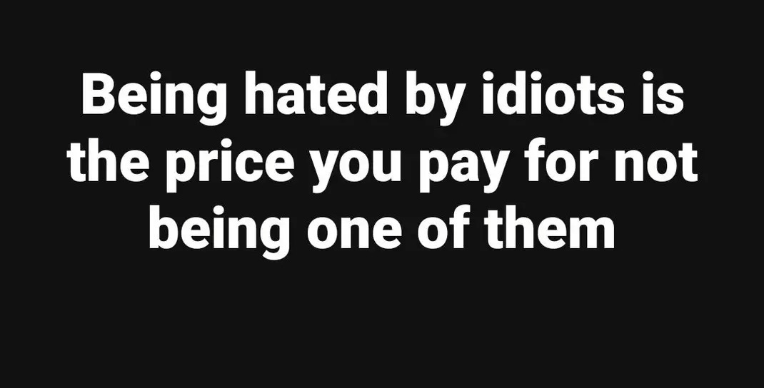 Being hated by idiots is the price you pay for not being one of them