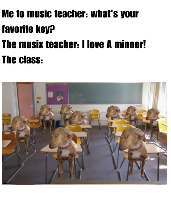 Me to music teacher: what's your favorite key? The music teacher: I love A minor! The class: