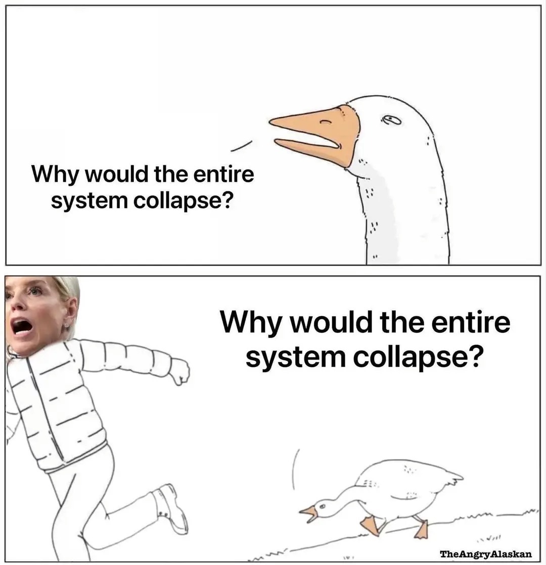 Why would the entire system collapse? Why would the entire system collapse?