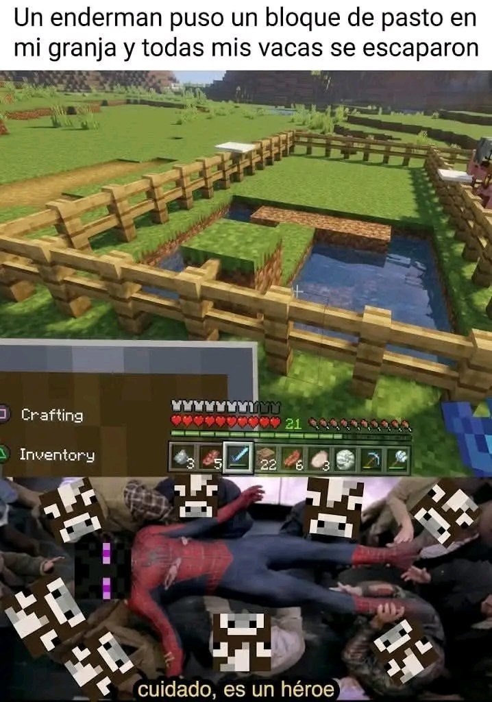 Un enderman puso un bloque de pasto en mi granja y todas mis vacas se escaparon
cuidado, es un héroe