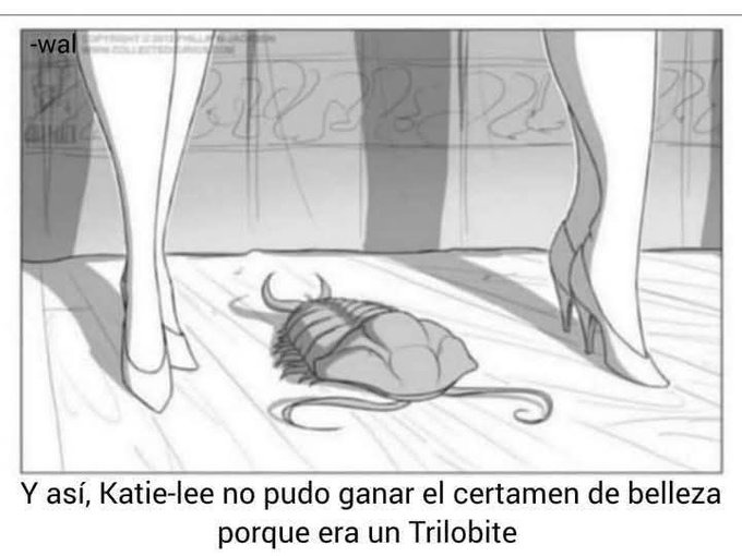 Y así, Katie-lee no pudo ganar el certamen de belleza porque era un Trilobite