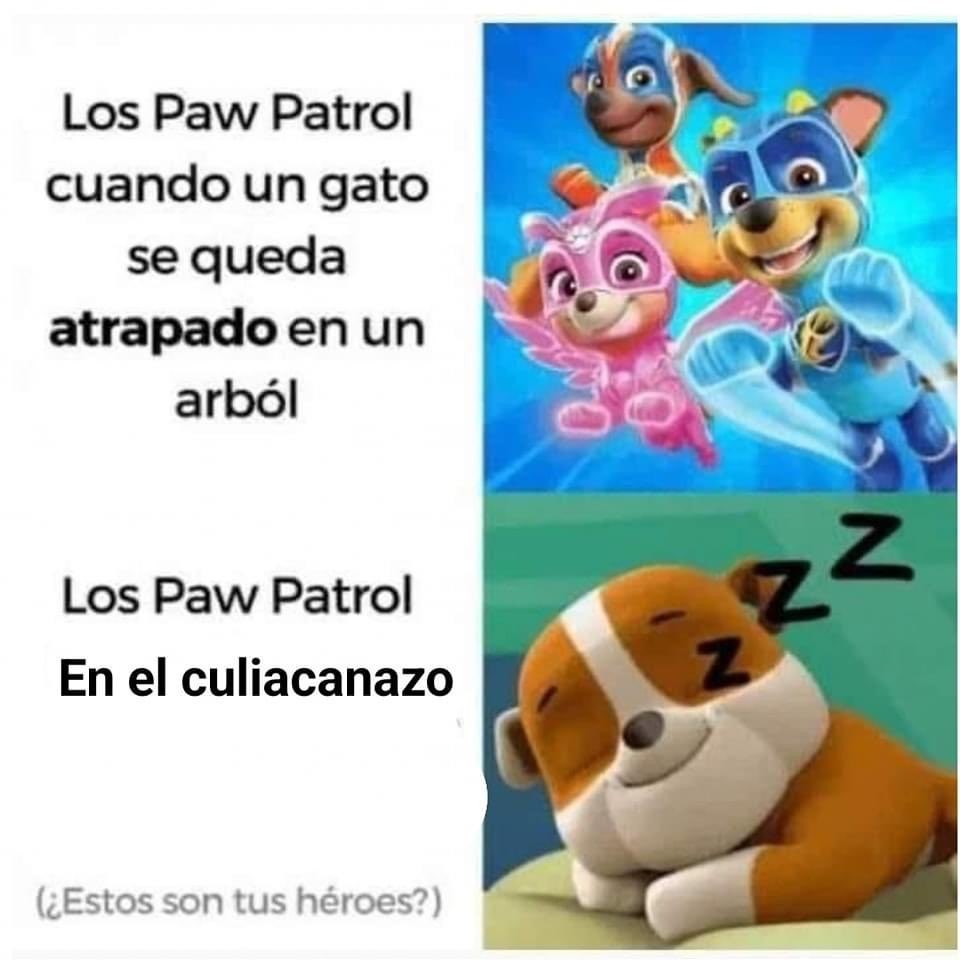Los Paw Patrol cuando un gato se queda atrapado en un arból\nLos Paw Patrol En el culia canazo\n(¿Estos son tus héroes?)