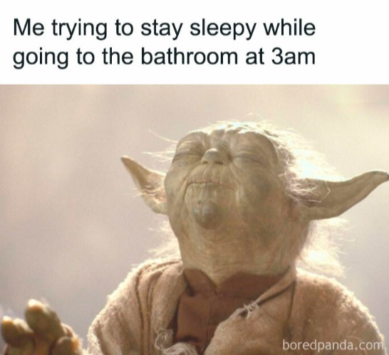 Me trying to stay sleepy while going to the bathroom at 3am
boredpanda.com