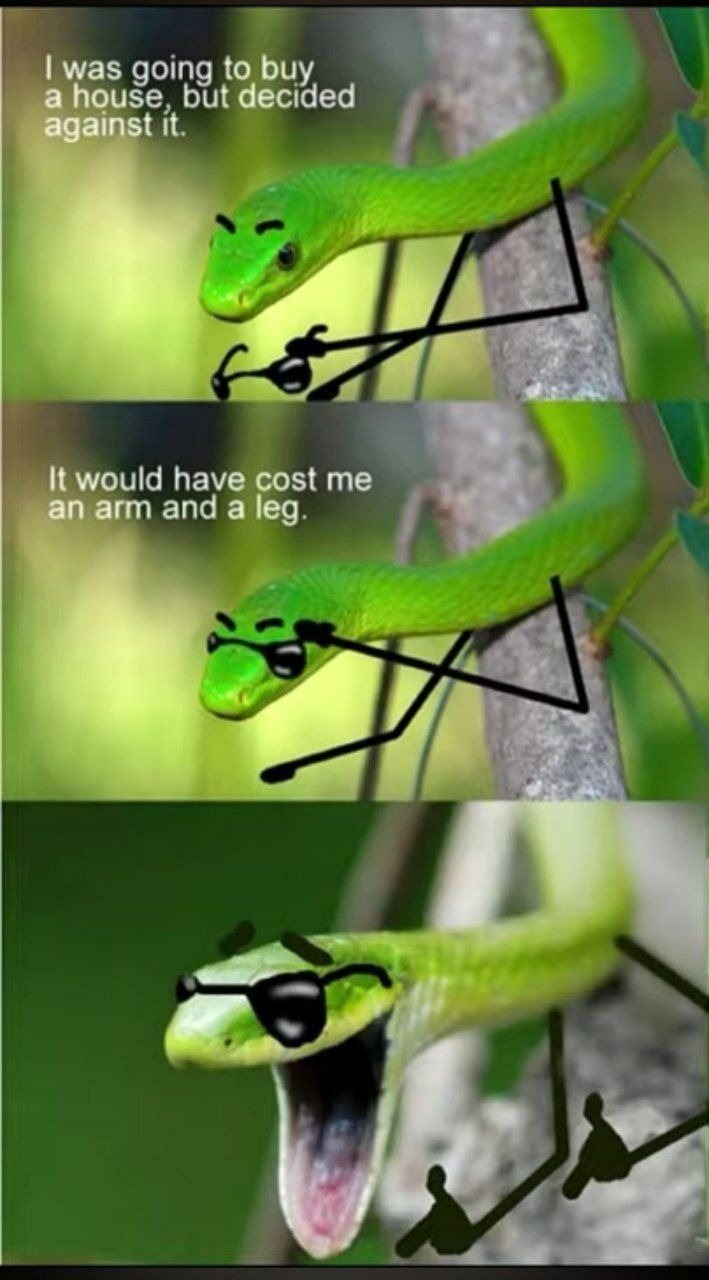 I was going to buy a house, but decided against it. It would have cost me an arm and a leg.