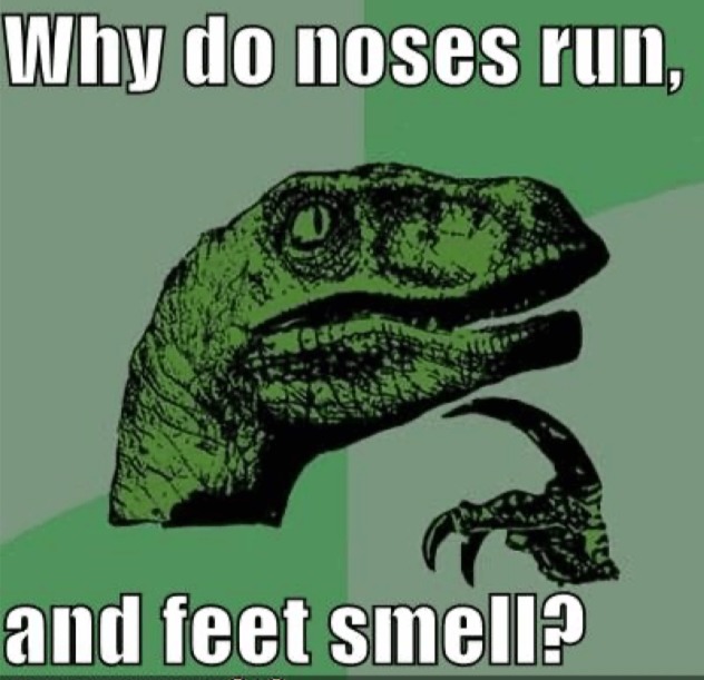 Why do noses run, and feet smell!?