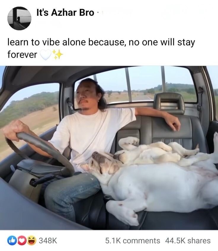 learn to vibe alone because, no one will stay forever ✨✨