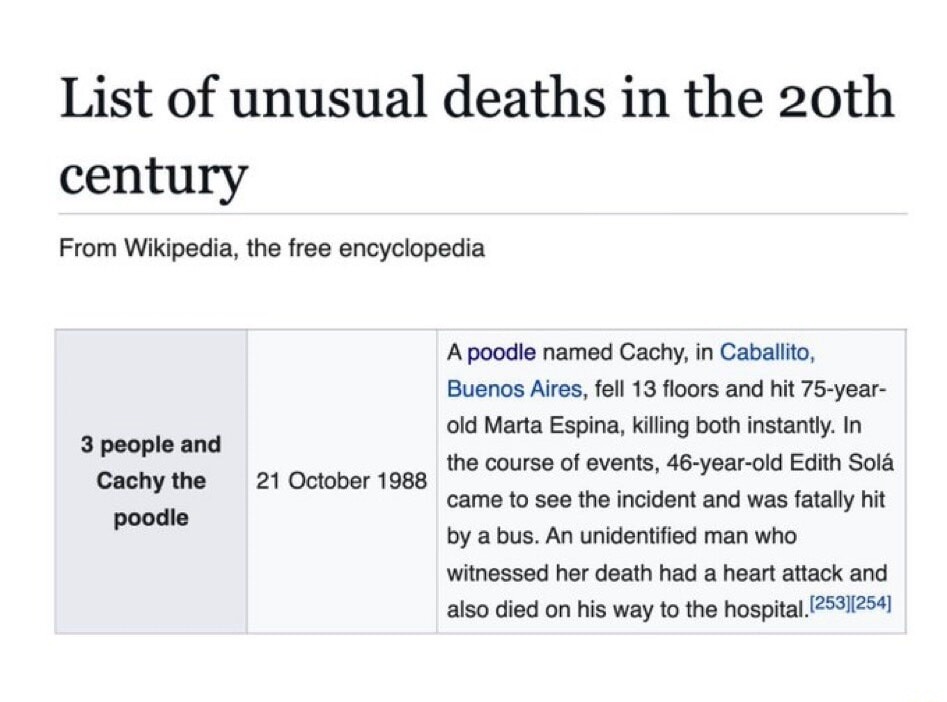 List of unusual deaths in the 20th century
From Wikipedia, the free encyclopedia
3 people and Cachy the poodle	21 October 1988	A poodle named Cachi, in Caballito, Buenos Aires, fell 13 floors and hit 75-year-old Marta Espina, killing both instantly. In the course of events, 46-year-old Edith Solá came to see the incident and was fatally hit by a bu
