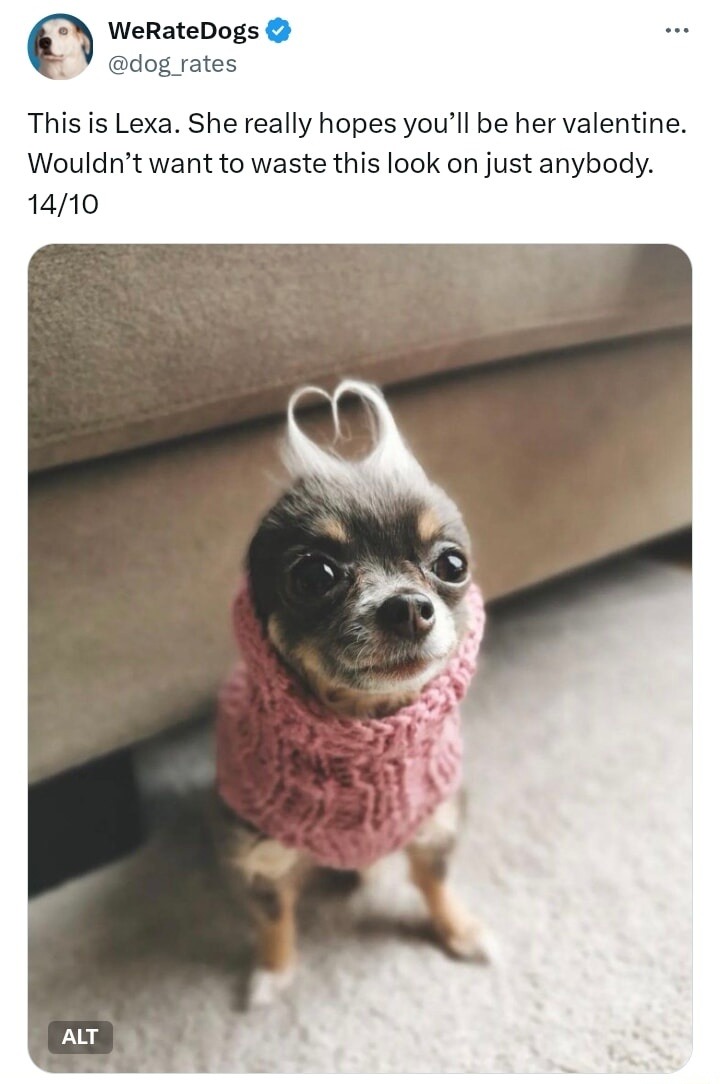 This is Lexa. She really hopes you’ll be her valentine. Wouldn’t want to waste this look on just anybody. 14/10