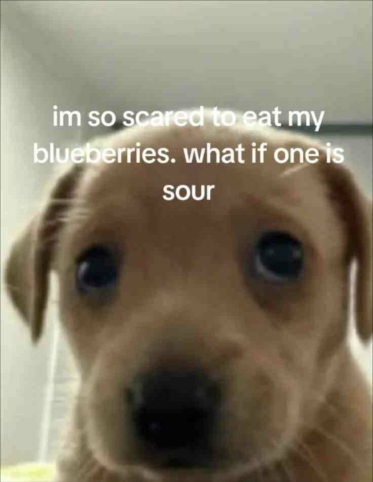im so scared to eat my blueberries. what if one is sour