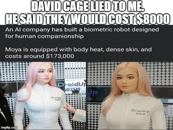 DAVID CAGE LIED TO ME. HE SAID THEY WOULD COST $8000
An AI company has built a biometric robot designed for human companionship
Moya is equipped with body heat, dense skin, and costs around $173,000