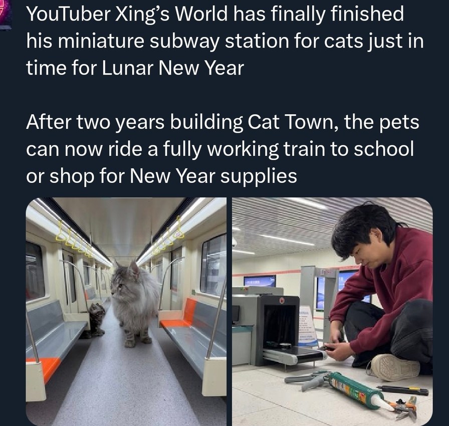 YouTuber Xing's World has finally finished his miniature subway station for cats just in time for Lunar New Year

After two years building Cat Town, the pets can now ride a fully working train to school or shop for New Year supplies