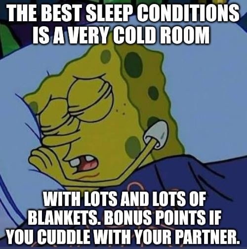 THE BEST SLEEP CONDITIONS IS A VERY COLD ROOM WITH LOTS AND LOTS OF BLANKETS. BONUS POINTS IF YOU CUDDLE WITH YOUR PARTNER.