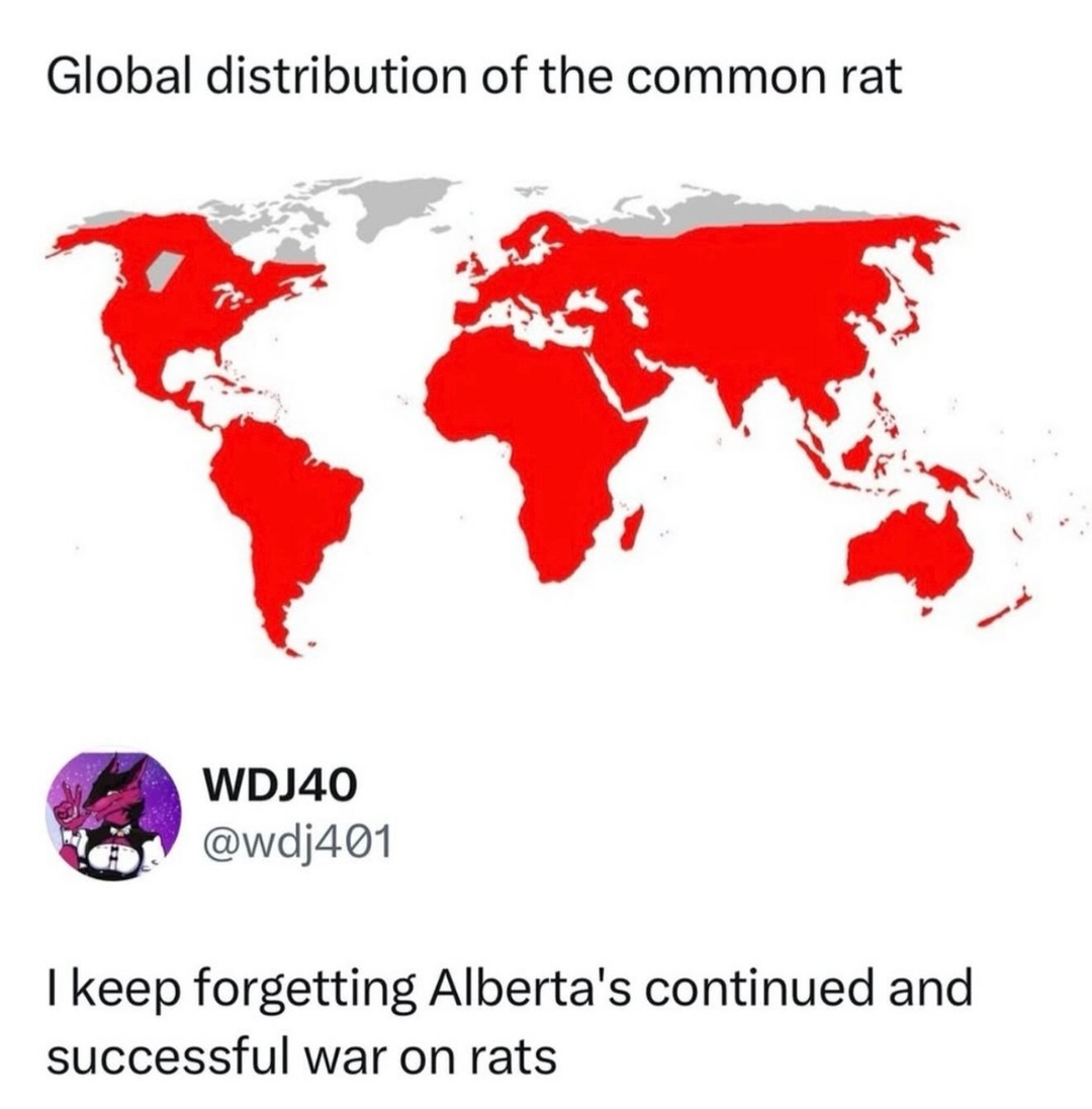 Global distribution of the common rat

WDJ40 @wdj401 I keep forgetting Alberta's continued and successful war on rats