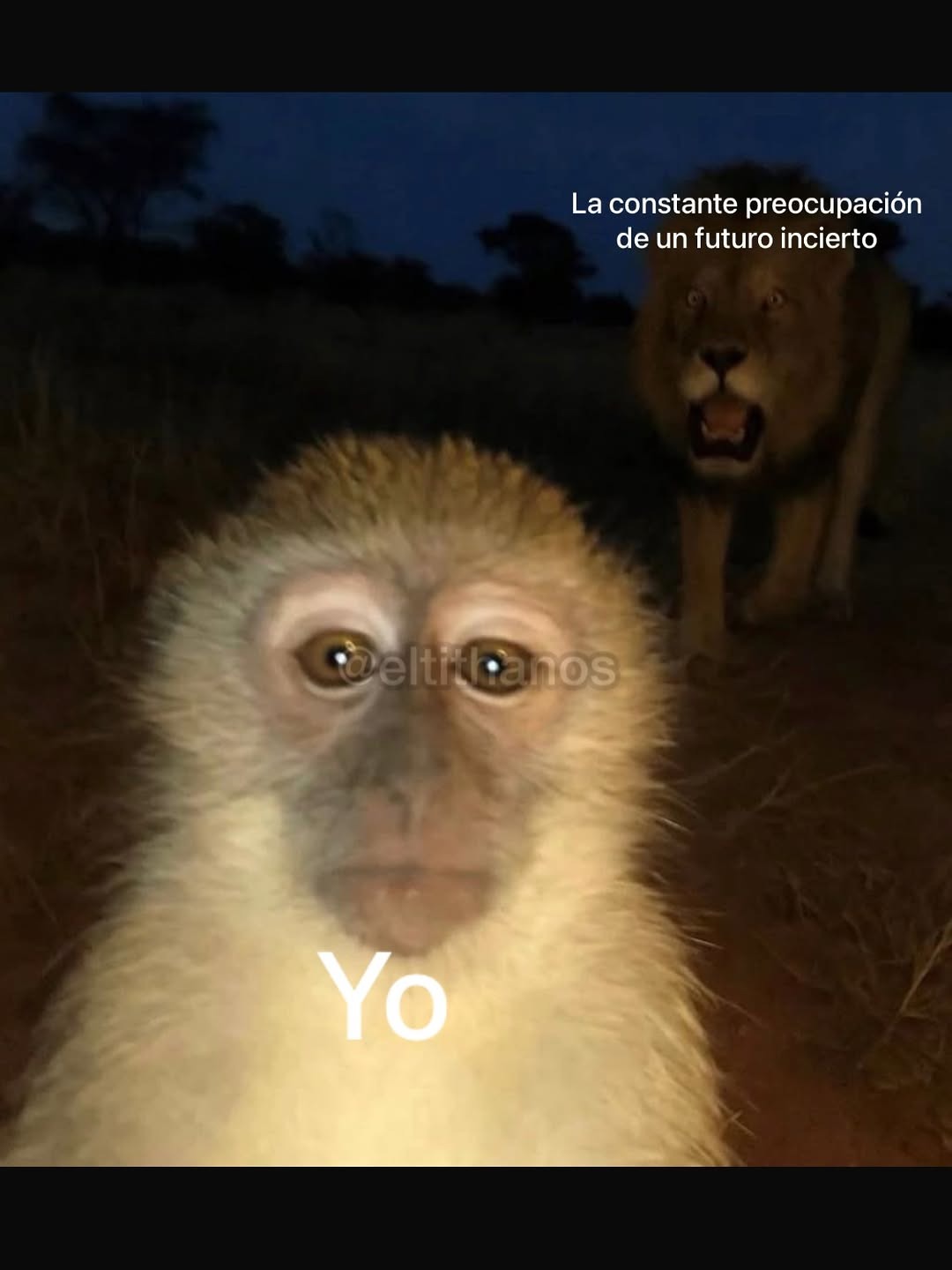 Yo
La constante preocupación de un futuro incierto