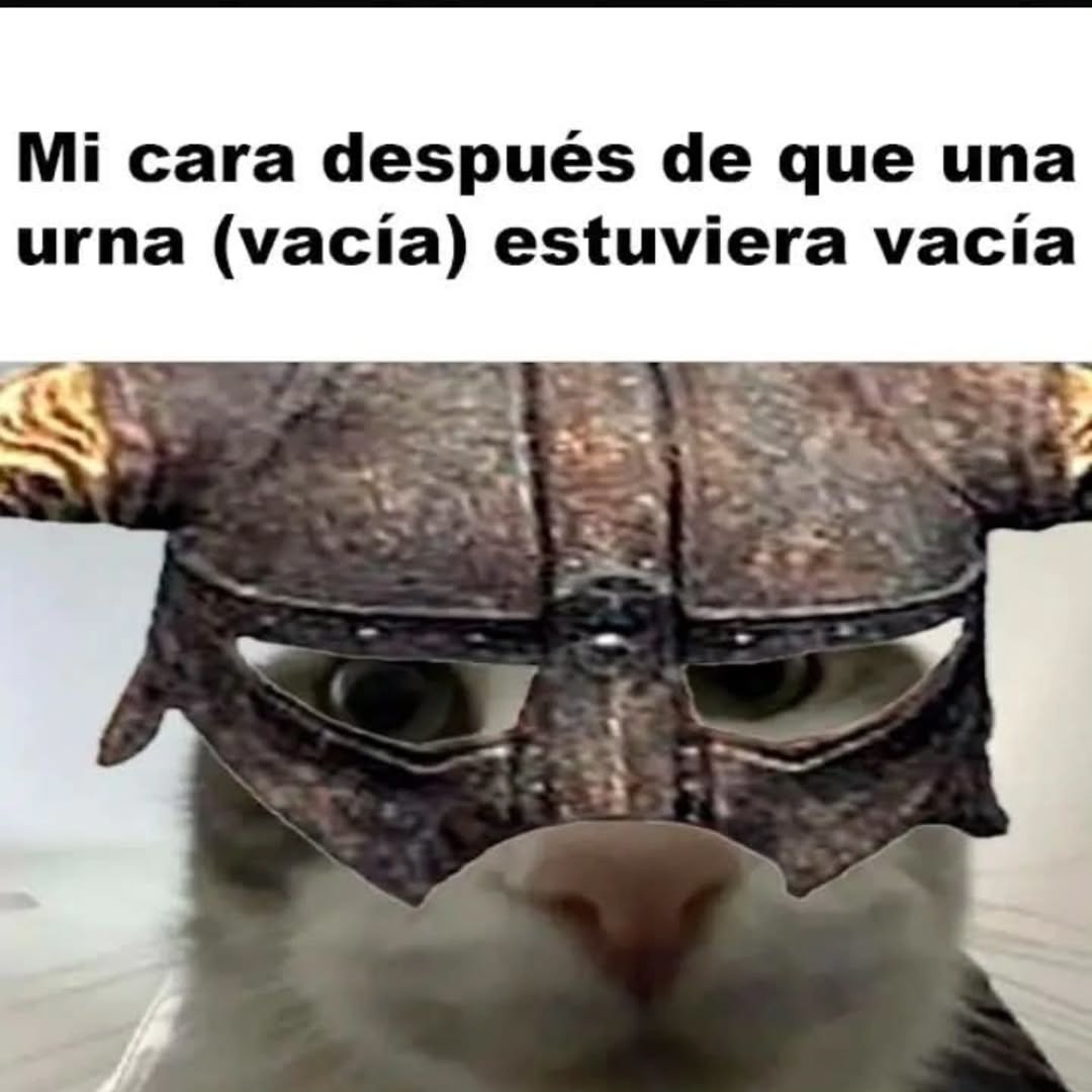 Mi cara después de que una urna (vacía) estuviera vacía