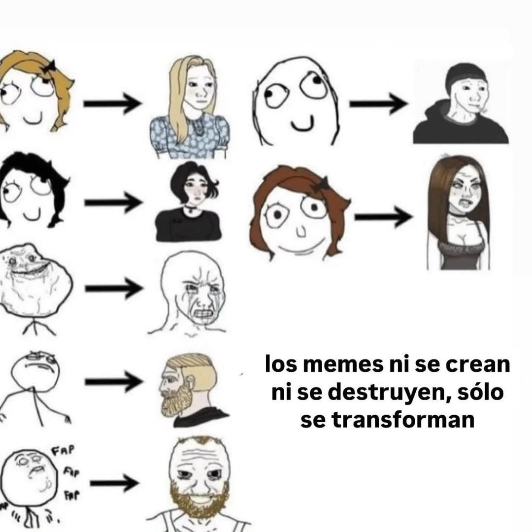 los memes ni se crean ni se destruyen, sólo se transforman
FAP