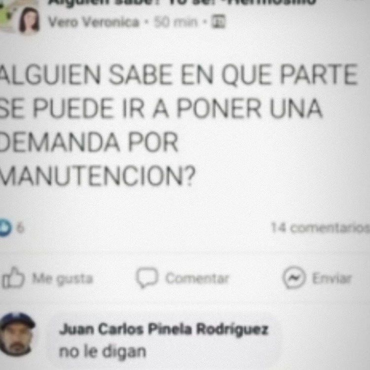 ALGUIEN SABE EN QUE PARTE SE PUEDE IR A PONER UNA DEMANDA POR MANUTENCION?