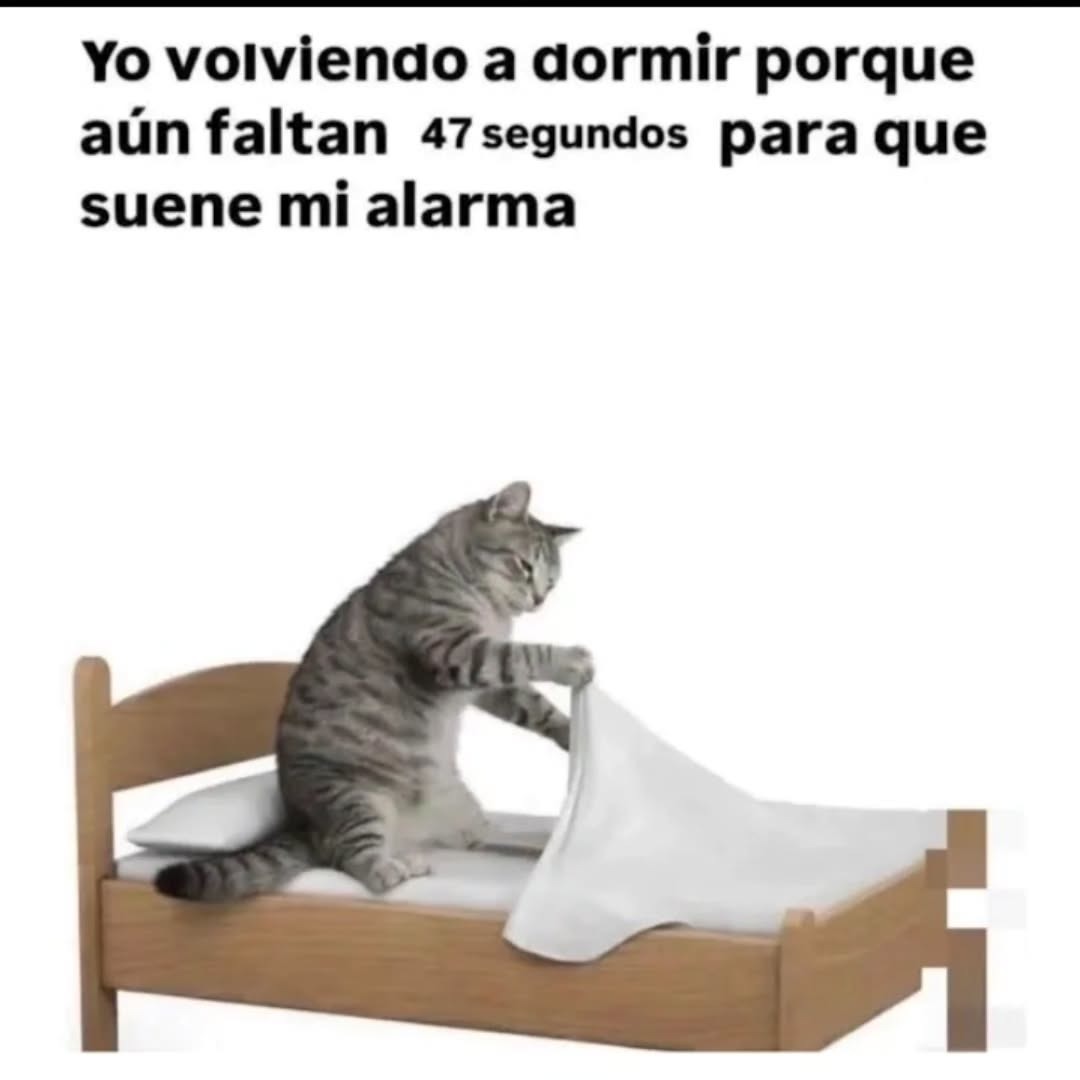 Yo vuelvo a dormir porque aún faltan 47 segundos para que suene mi alarma